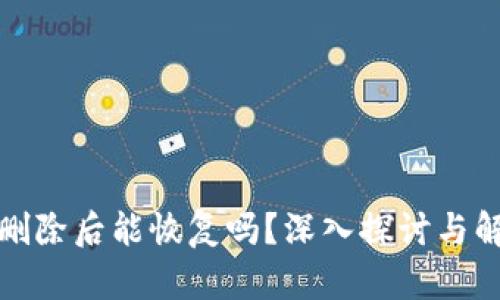 TP钱包删除后能恢复吗?深入探讨与解决方案