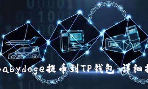 如何将Babydoge提币到TP钱包:详细操作指南