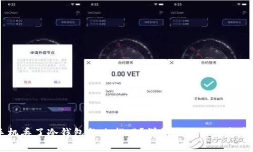 手机丢了冷钱包怎么找回？详细步骤与注意事项
