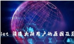 TP Wallet 清退大陆用户的原因及影响分析