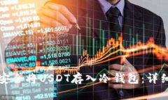 如何安全将USDT存入冷钱包:详细指南