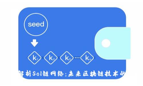 深入解析Sol链网络:未来区块链技术的核心