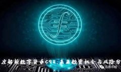 深度解析数字货币C98:未来投资机会与风险分析