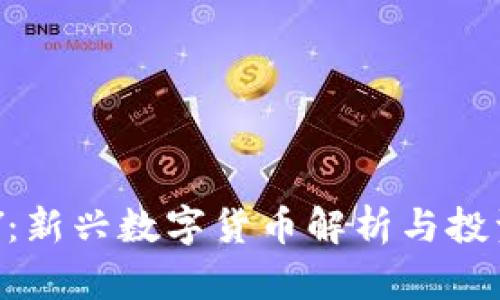 TOPAY:新兴数字货币解析与投资前景