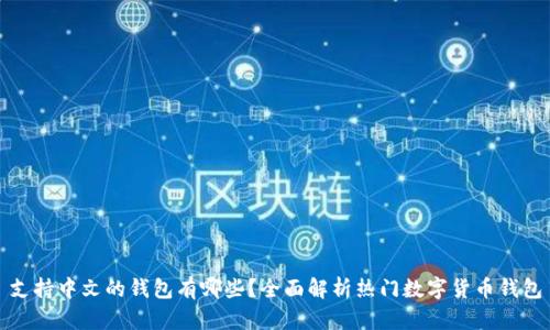 支持中文的钱包有哪些?全面解析热门数字货币钱包