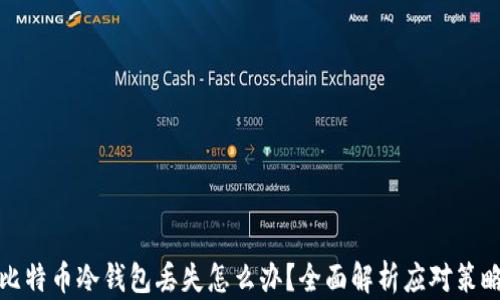 比特币冷钱包丢失怎么办?全面解析应对策略