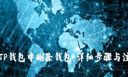 如何在TP钱包中删除钱包:详细步骤与注意事项
