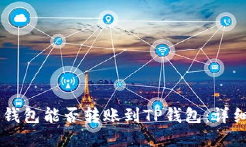 币印钱包能否转账到TP钱包:详细指南
