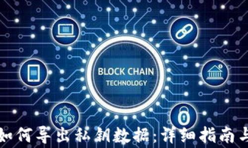 观察钱包如何导出私钥数据:详细指南与注意事项