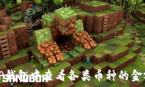 如何在TP钱包中查看各类币种的金额和余额
