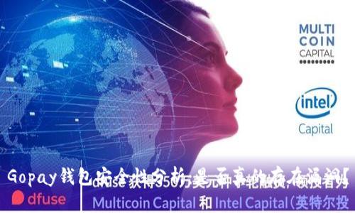 Gopay钱包安全性分析:是否真的存在漏洞?