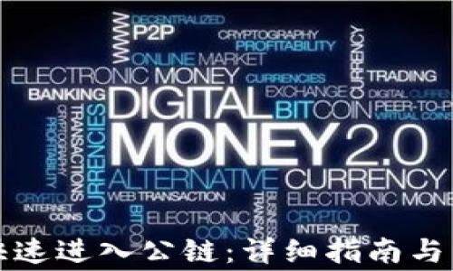 TP钱包如何快速进入公链:详细指南与常见问题解答