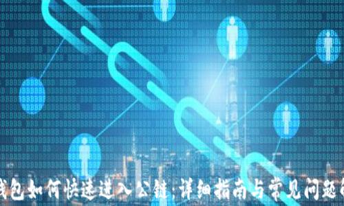 TP钱包如何快速进入公链:详细指南与常见问题解答
