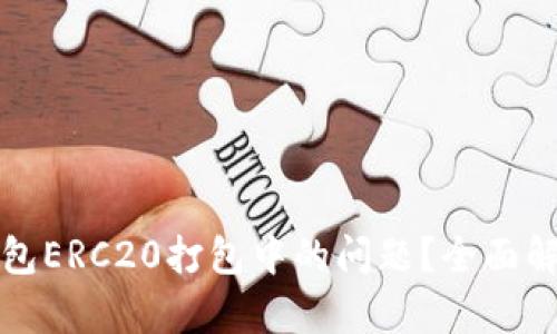 如何处理TP钱包ERC20打包中的问题?全面解析与解决方案