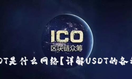 TP钱包中的USDT是什么网络?详解USDT的各种网络及其应用