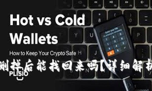 tp钱包的币删掉后能找回来吗?详细解析与解决方案