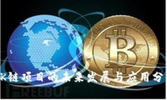 OK链项目的未来发展与应用分析