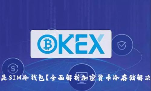 什么是SIM冷钱包?全面解析加密货币冷存储解决方案