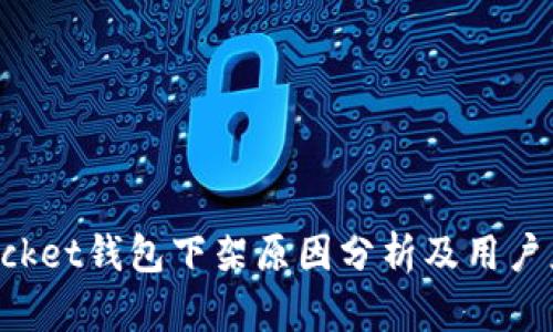 TokenPocket钱包下架原因分析及用户应对策略