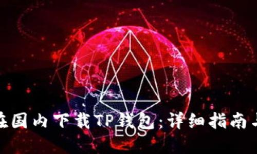 如何在国内下载TP钱包:详细指南与步骤