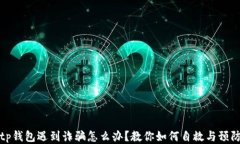 tp钱包遇到诈骗怎么办?教你如何自救与预防