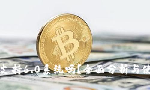 TP钱包支持6.0系统吗?全面分析与使用指南