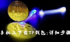 如何在苹果手机上下载TP钱包:详细步骤与注意事
