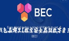 TP钱包的冷钱包在哪里？探索安全存储数字资产的