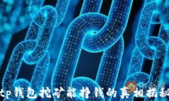 tp钱包挖矿能挣钱的真相揭秘