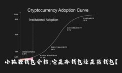 小狐狸钱包介绍:它是冷钱包还是热钱包?