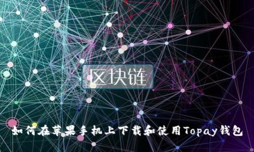 如何在苹果手机上下载和使用Topay钱包