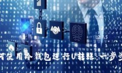 : 如何使用冷钱包进行U转账:一步步指南