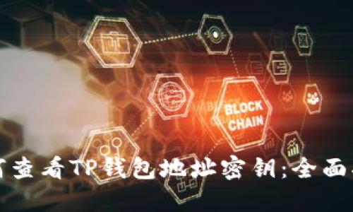 如何查看TP钱包地址密钥：全面指南