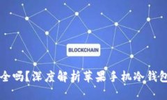 苹果手机的冷钱包安全吗?深度解析苹果手机冷