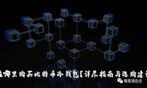 在哪里购买比特币冷钱包?详尽指南与选购建议