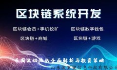 币圈流动池的全面解析与投资策略