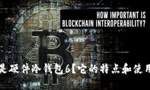 什么是硬件冷钱包6？它的特点和使用指南