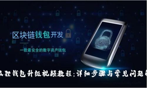 小狐狸钱包升级视频教程:详细步骤与常见问题解答