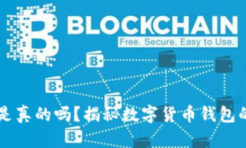 国外TP钱包软件是真的吗?揭秘数字货币钱包的真相与选择技巧