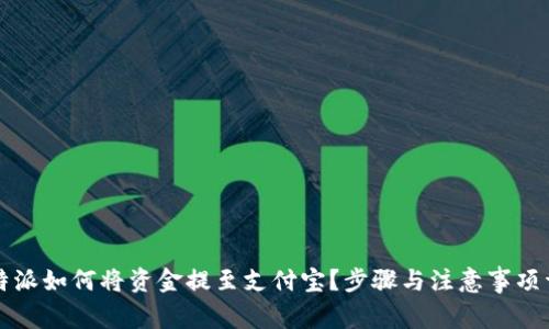 比特派如何将资金提至支付宝?步骤与注意事项详解