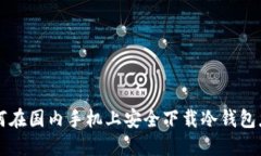 如何在国内手机上安全下载冷钱包应用