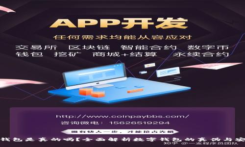 数字钱包是真的吗?全面解析数字钱包的真伪与安全性