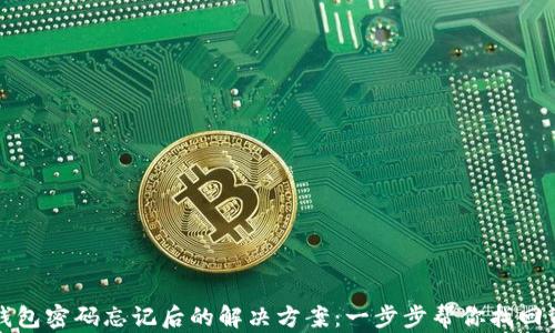 冷钱包密码忘记后的解决方案:一步步帮你找回资产