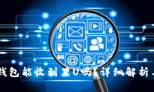 ### TP钱包能收到黑U吗?详细解析与使用指南