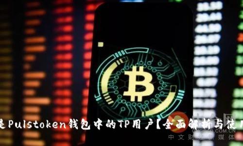 什么是Pulstoken钱包中的TP用户?全面解析与使用指南