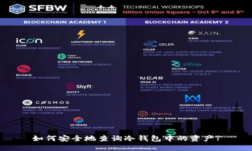 如何安全地查询冷钱包中的资产?