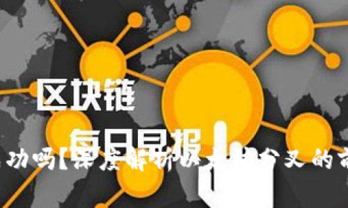 ETHW会成功吗?深度解析以太坊分叉的前景与挑战