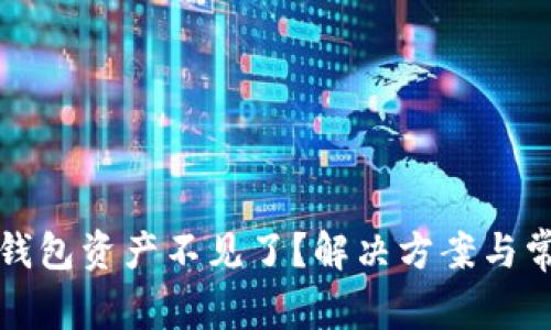 TP钱包导入钱包资产不见了?解决方案与常见问题解析