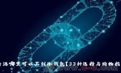 香港哪里可以买到冷钱包？33种选择与购物指南
