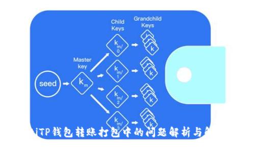 iabotiTP钱包转账打包中的问题解析与解决方案